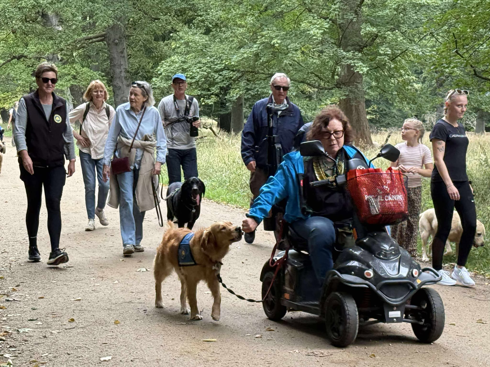 550771597 1348769183617690 8659234585912798331 N