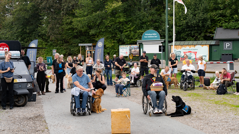Hundetræning af servicehunde med brugere