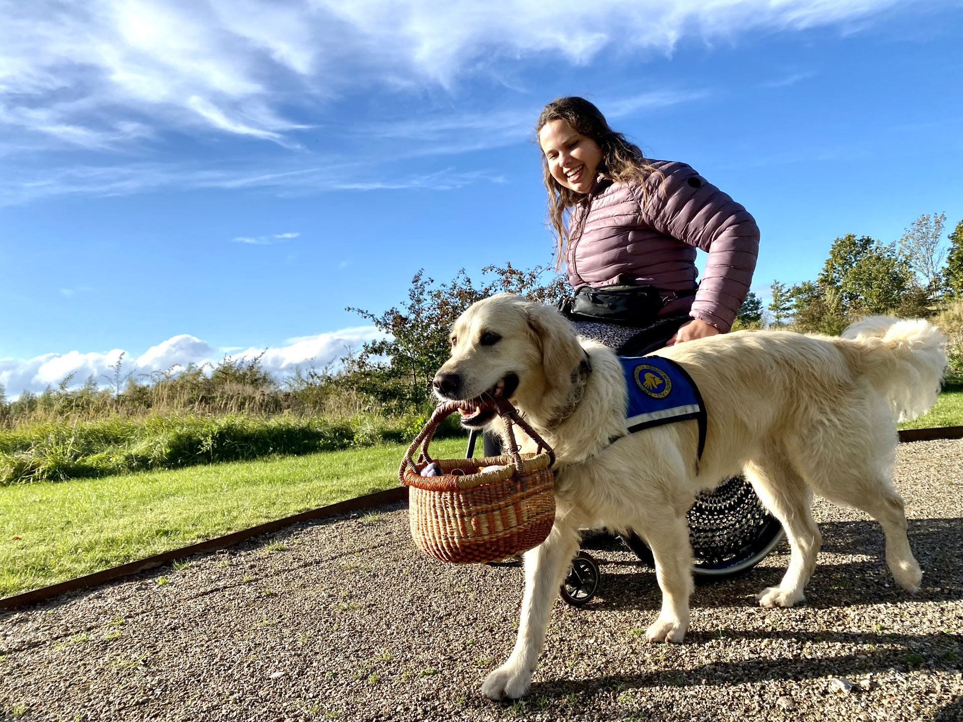 Servicehunden Ginny med en kurv i munden ved  siden af Therese