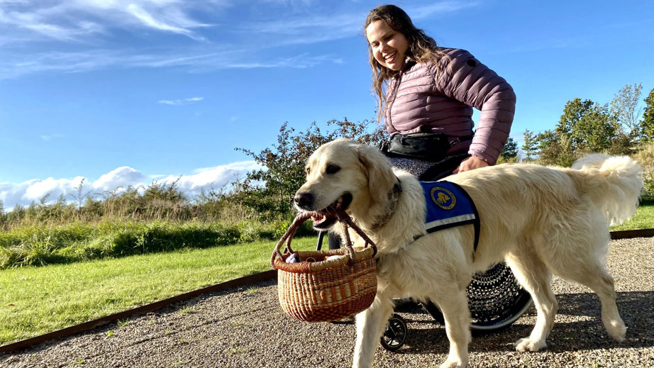 Servicehunden Ginny med en kurv i munden ved  siden af Therese