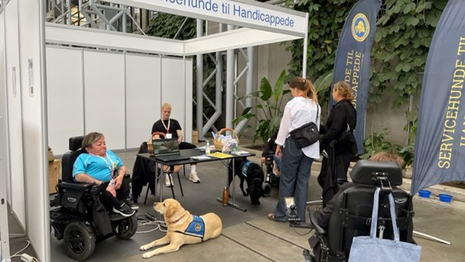 Messestand med STH Servicehunde og brugere