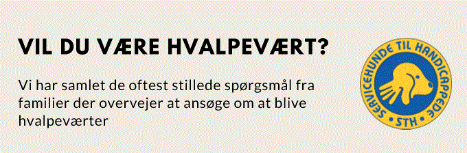 FAQ Billede