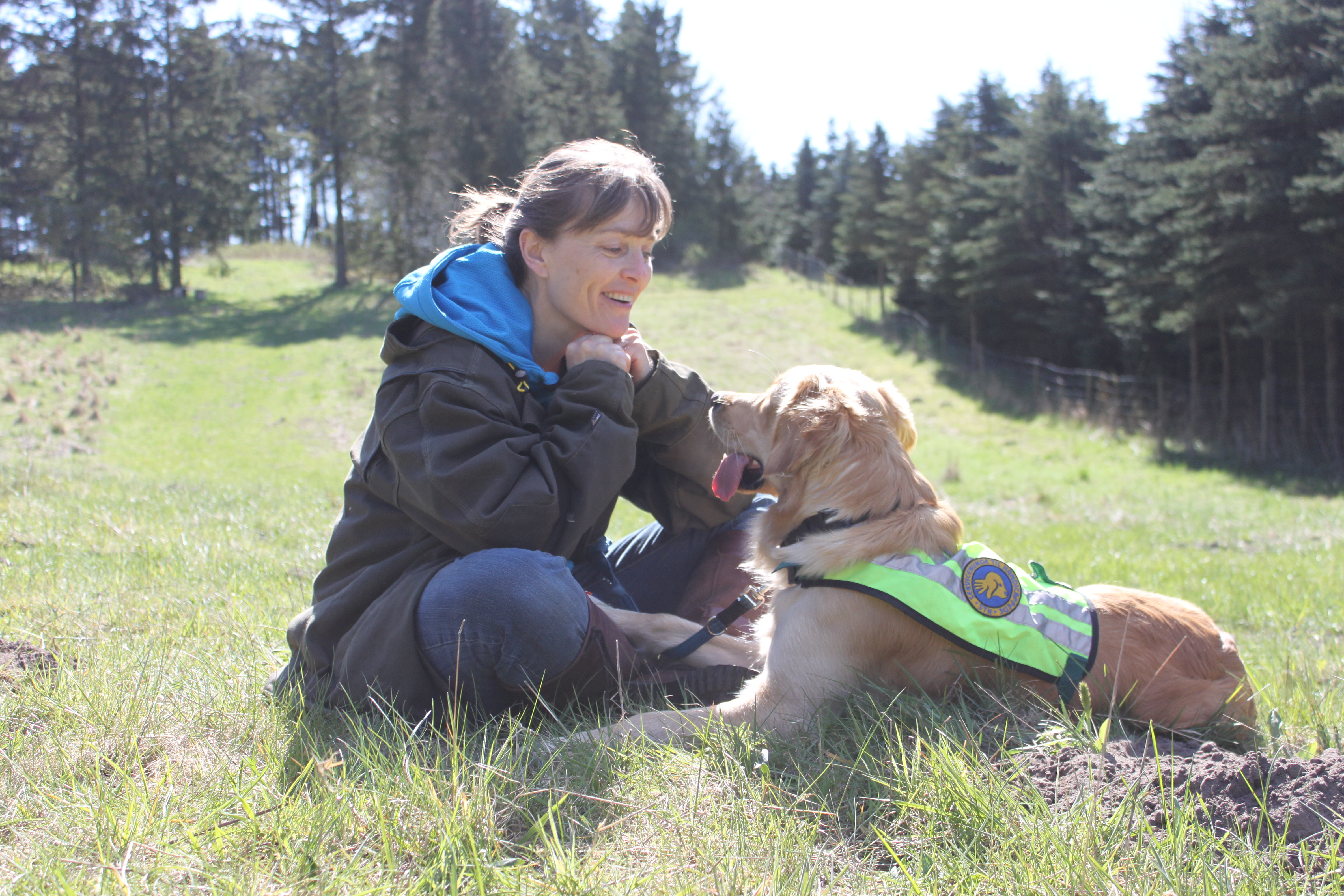 Billede af hund i træning