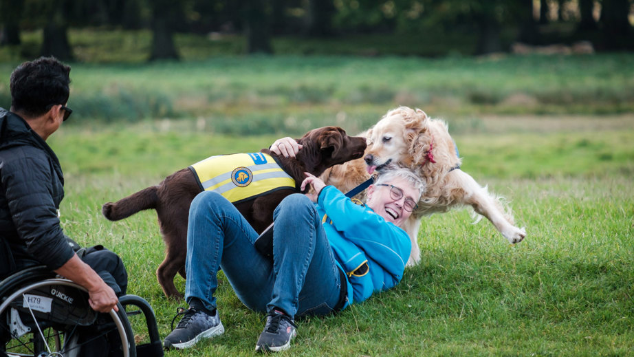To servicehunde leger med en hundetræner til Dog A Thon