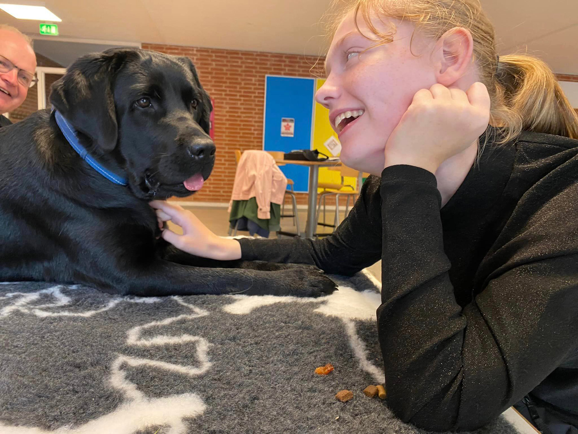 Servicehunden Stella og Marianne