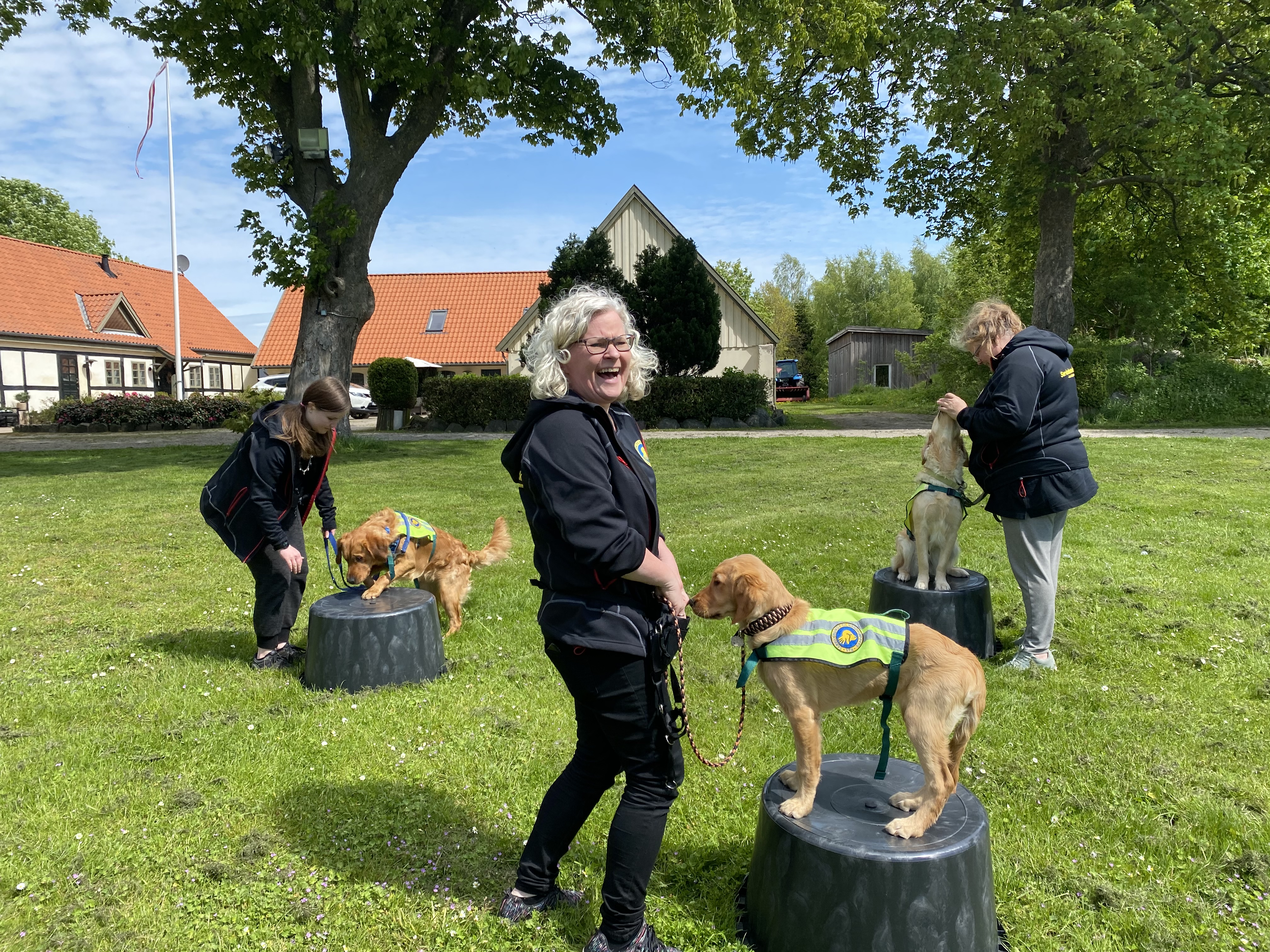 Hvalpeværter Træning (2)