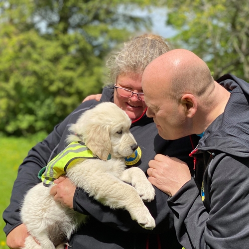 186453546 189676893017759 6230641561723705047 N