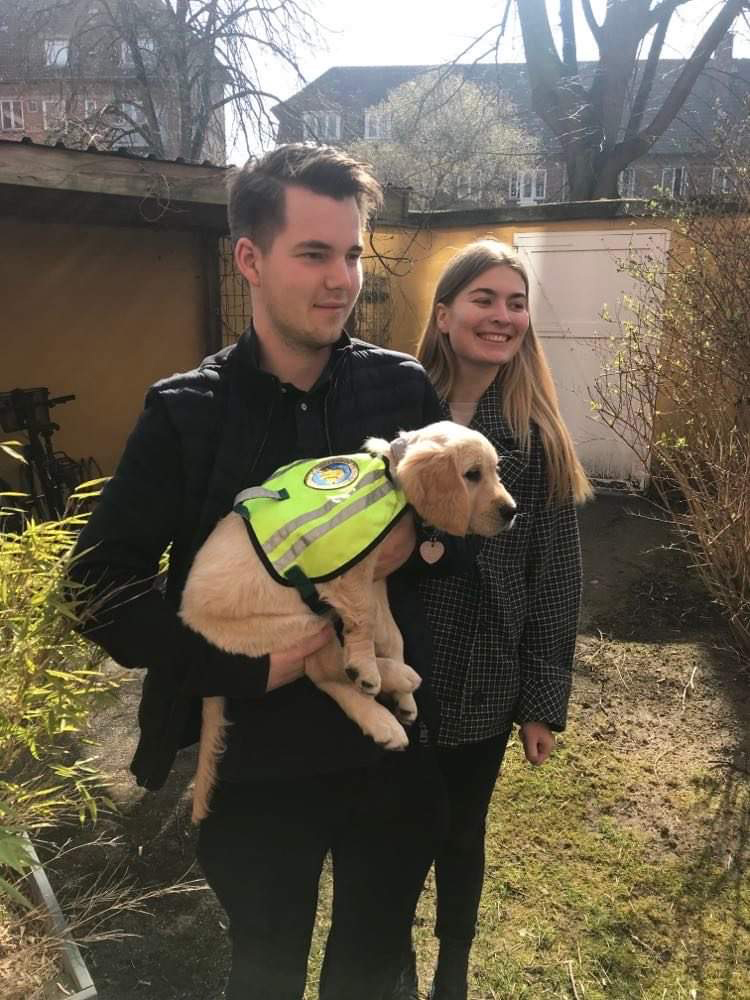 Hvalpeaspirant Daisy sammen med hvalpeværterne Andreas og Ida