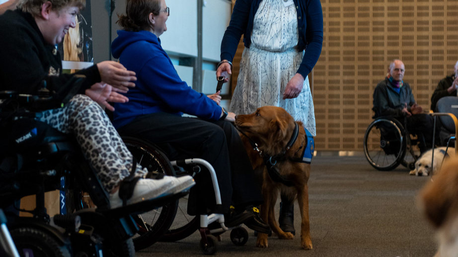 Bestyrelsesmedlem giver hånd til bruger til graduation