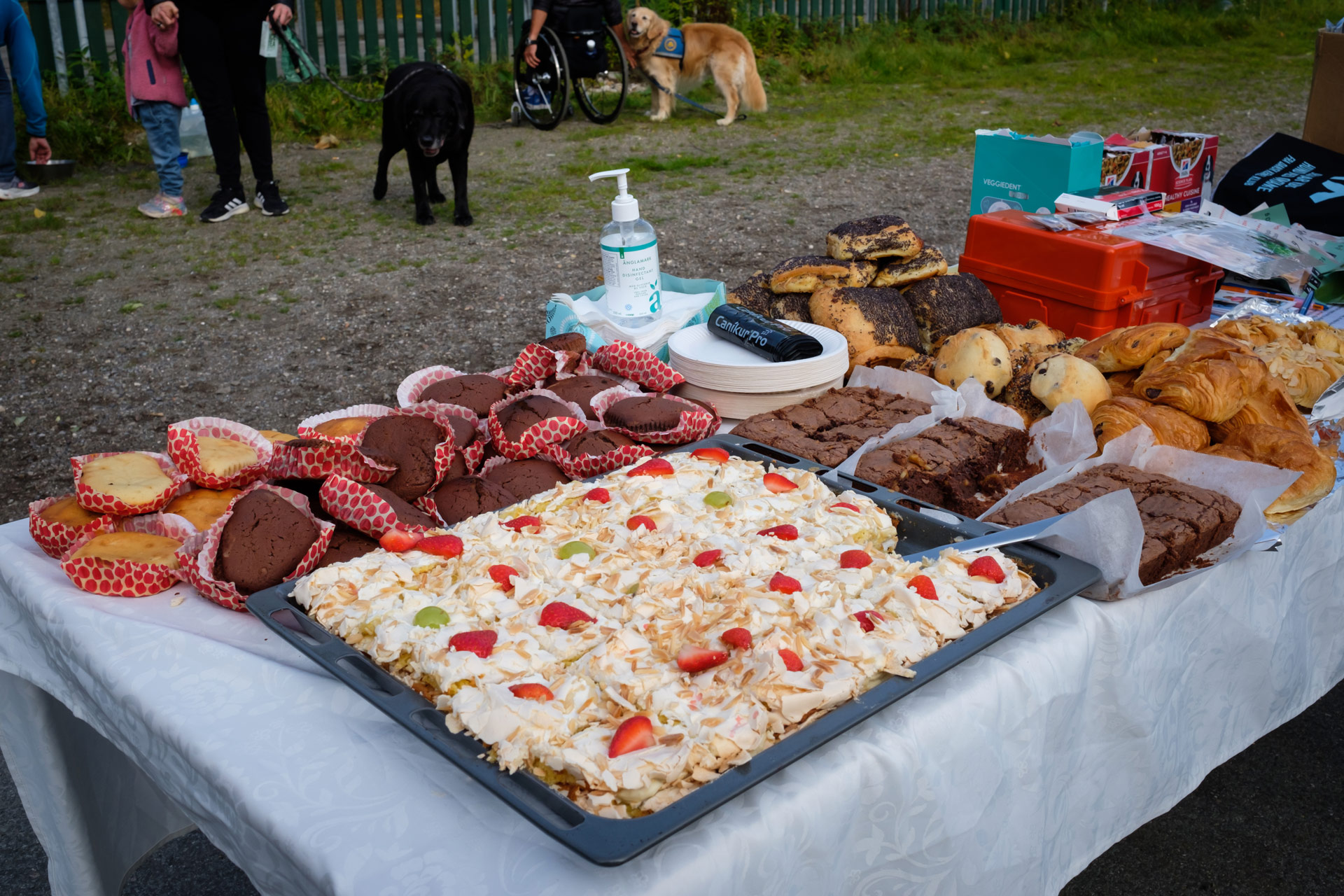 Stort kagebord med forskellige kager til Dog A Thon