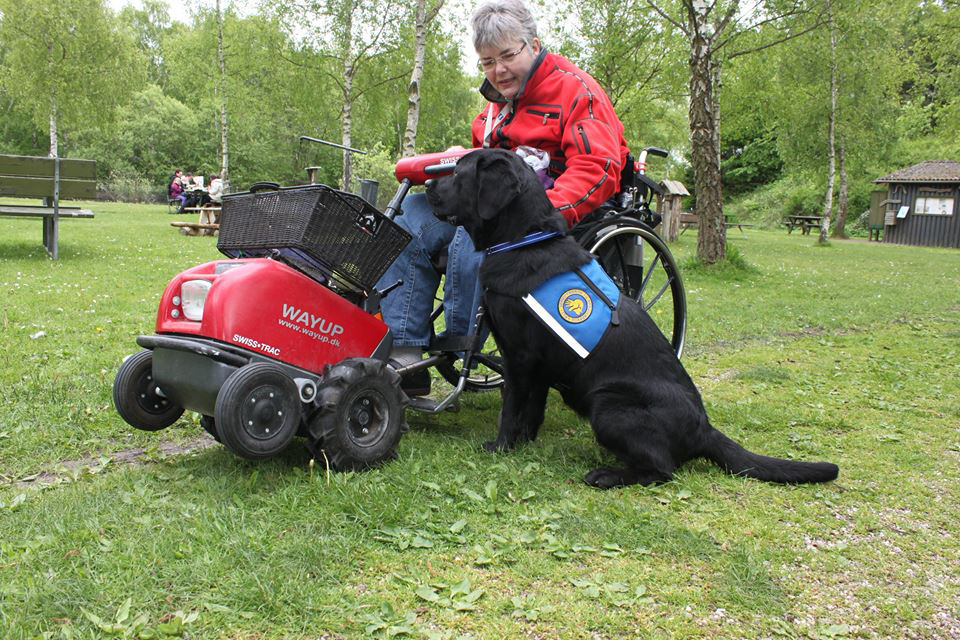 Team Maggie og Karin 2015