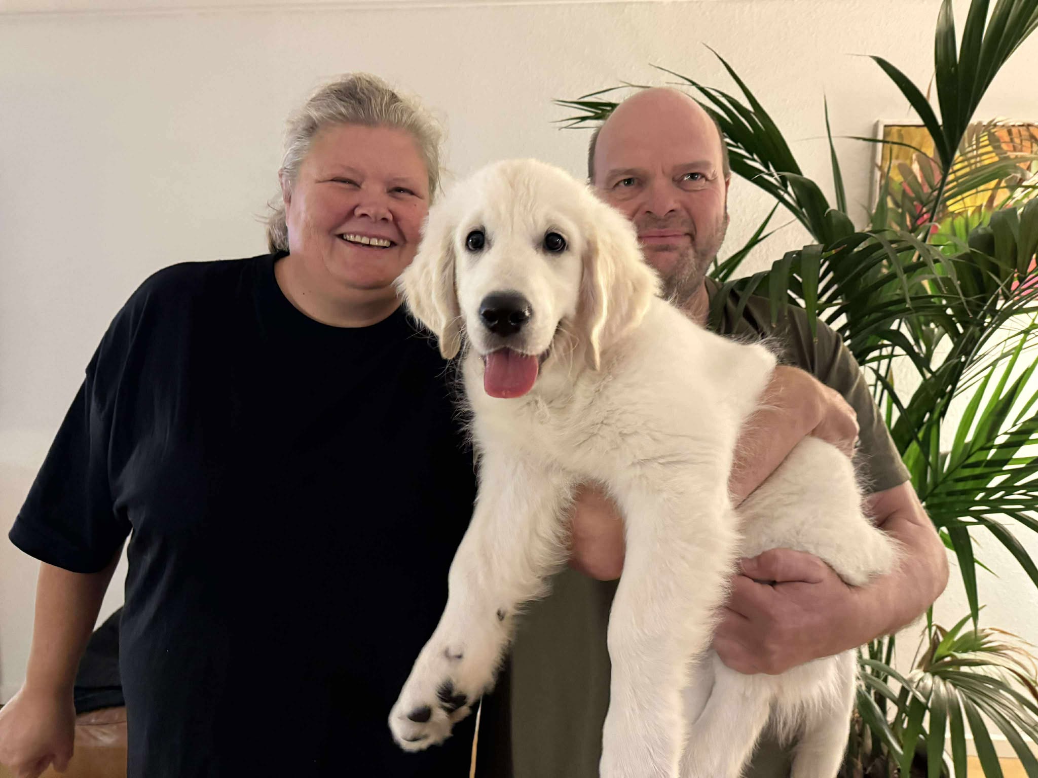 Bowie, Jette Og Søren Nov 2025