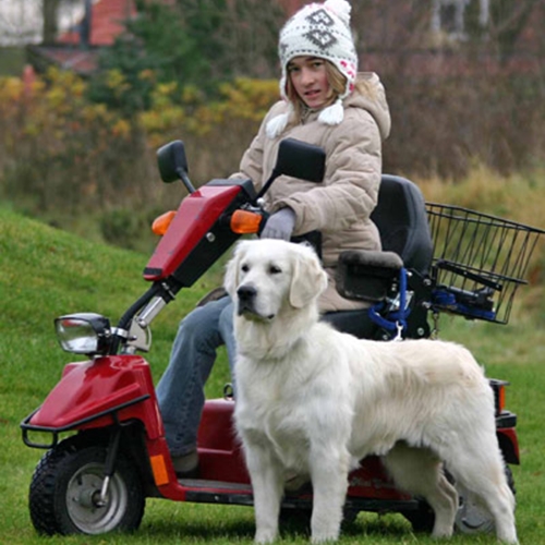 Billede af Lolle og Freja