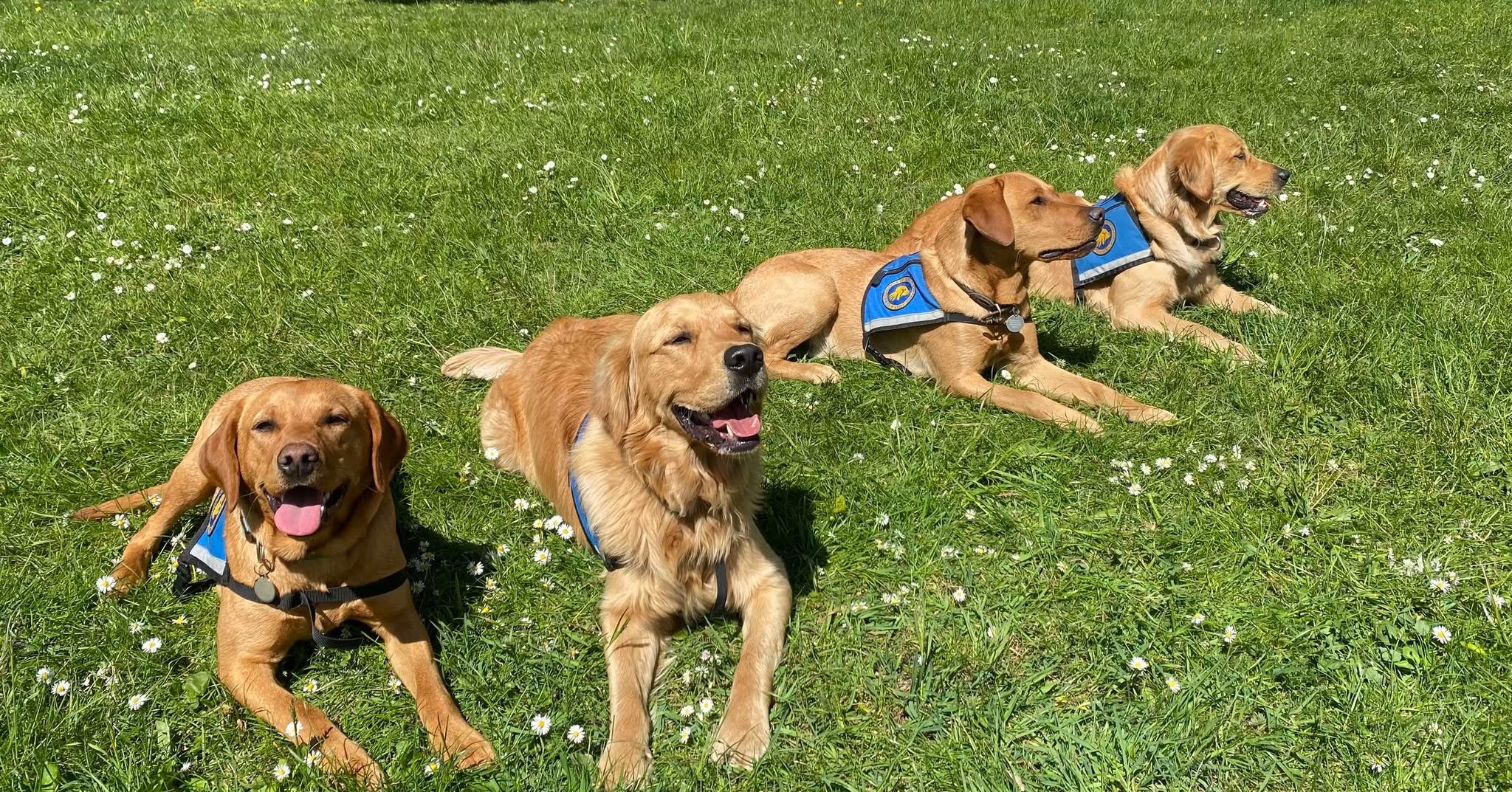 Pippi Oskar Ralle Og Civa